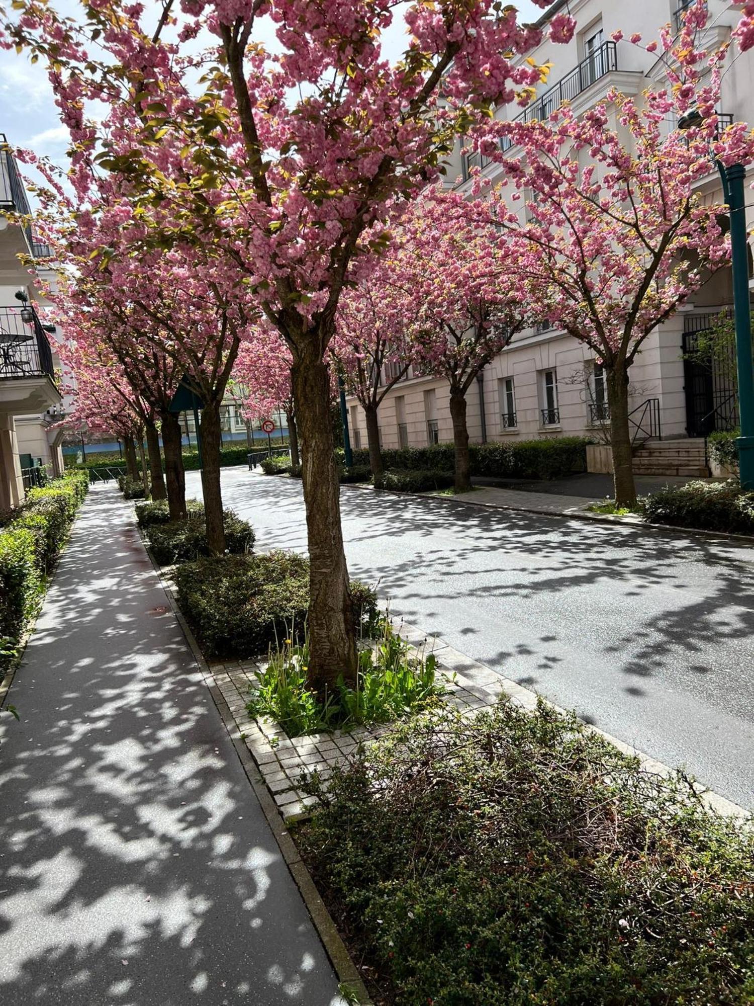 Sweet Appartement Disneyland Paris Parking 300M Station Val D'Europe Chessy  Ngoại thất bức ảnh